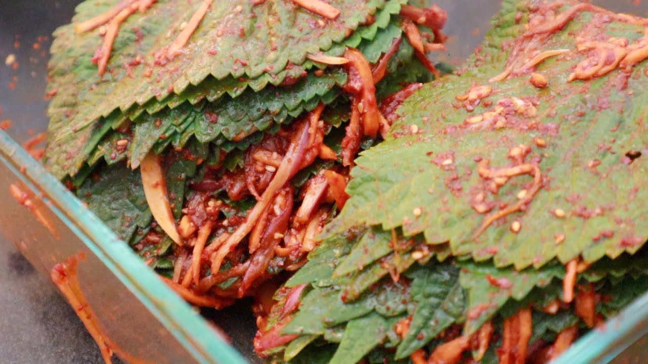 Easy Korean Perilla Leaf Kimchi Recipe | 100+ leaves
