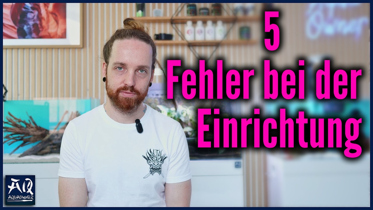 Mache nicht diese 5 Fehler beim Aquarium einrichten | AquaOwner