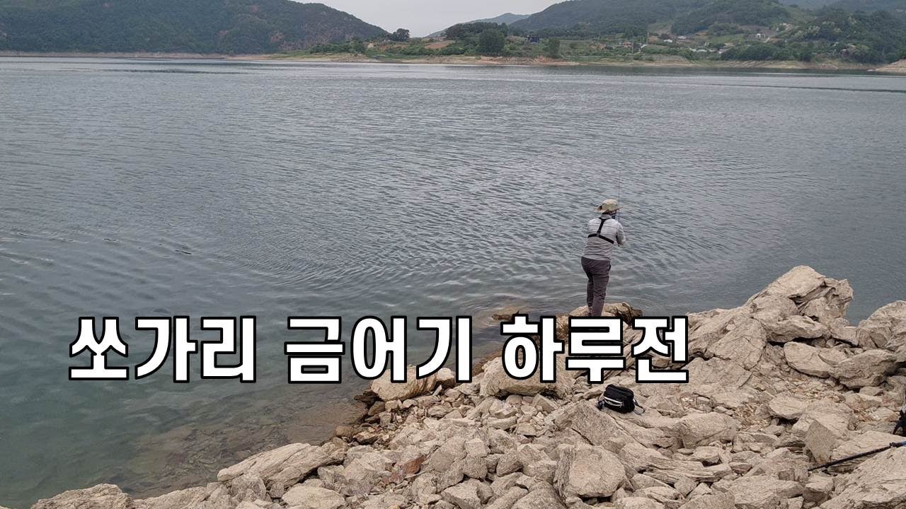 금어기 전날 청풍호