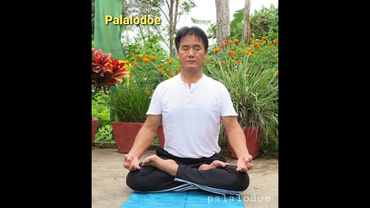 ༄། །རང་ལོ་ ༤༠ ཡན་གི་དུས་རྒྱུན་དུ་ལུས་སྦྱོང་བརྙན་མཐོང།། Daily yoga practice of a 40plus age .