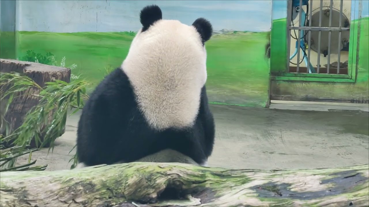 大年初七 圓仔經典晚餐（嚴禁轉載）