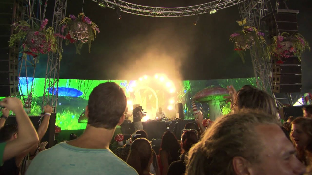 Cari Lekebusch (2) at Tomorrowland 2012