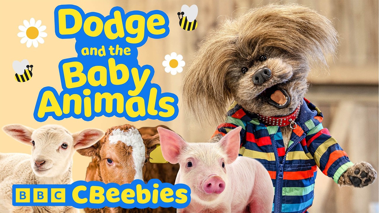 CBeebies House: Baby Animals at the Farm! | Dodge & Friends Explore | CBeebies 🐥 🐑🌾