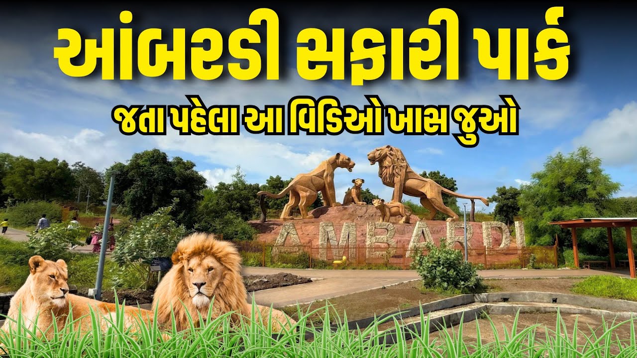 Ambardi Safari Park | આંબરડી સફારી પાર્ક જતા પહેલા આ વિડિઓ ખાસ જુઓ | Milan Danidhariya 
