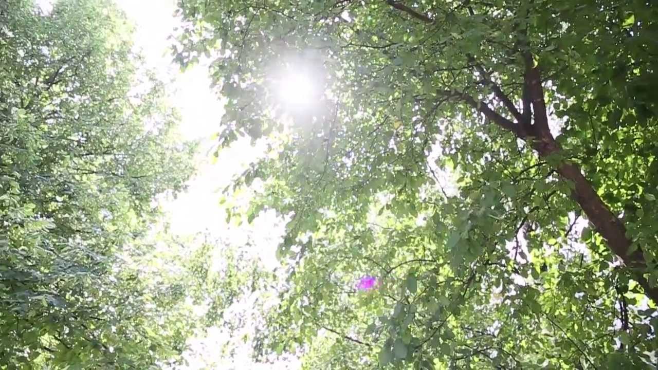 Свадебный клип / Wedding highlights O&S