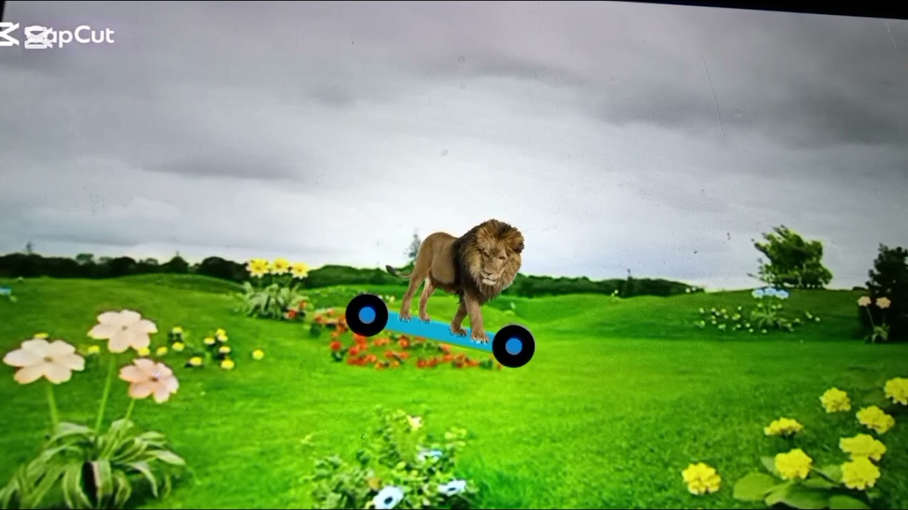 The Lion and the bear