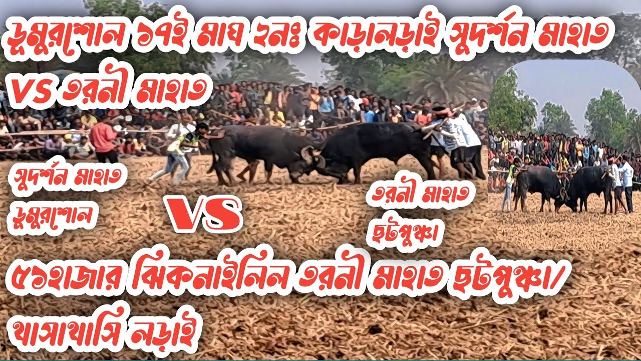 ১৭ই মাঘ ডুমুরশোল ২নঃ থাসাথাসী কাড়ালড়াই/সুদর্শনমাহাতVS তরনিমাহাতDumursol 2No ThasaThasi Kara Larai 