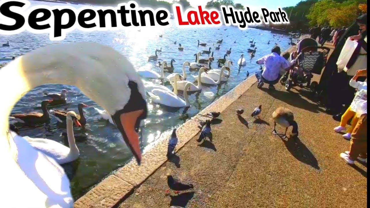 Hyde Park London with Amazing footage of Serpentine lake/Hyde Park Vlog 2019