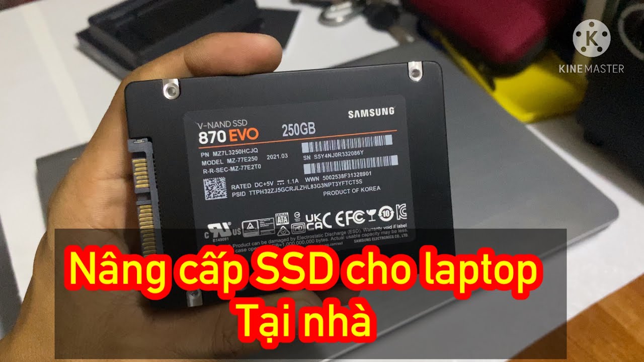 Nâng cấp ổ cứng HDD sang SSD cho laptop chạy nhanh hơn gấp 3 đến 4 lần | phiêu xứ dừa