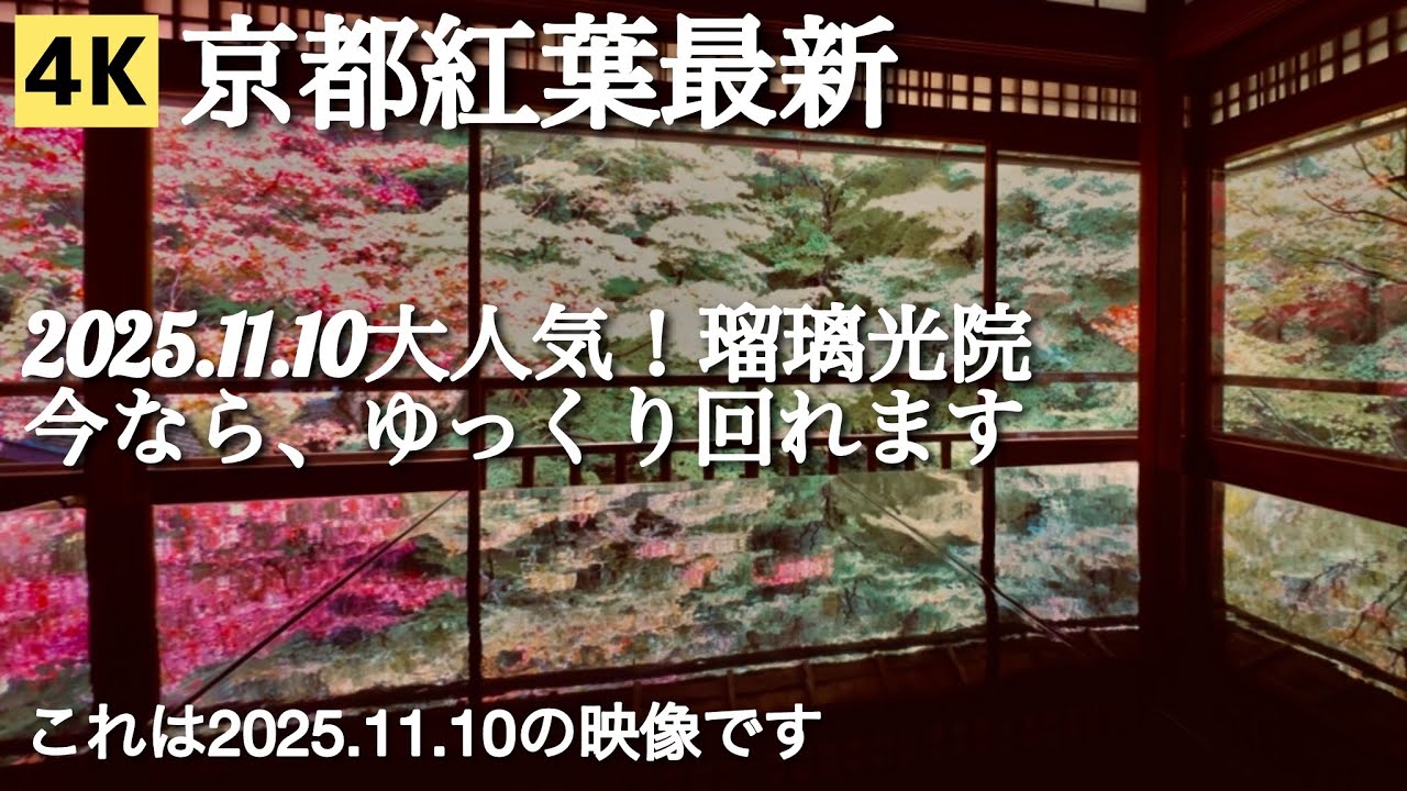  【4K】京都紅葉最新🍁2025.11.10大人気！瑠璃光院(るりこういん）/今ならゆっくり回れます