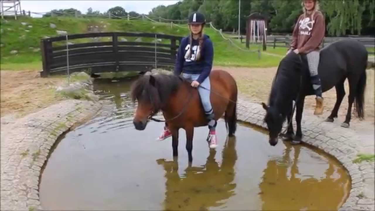 Juni WE 15 im Pony Park