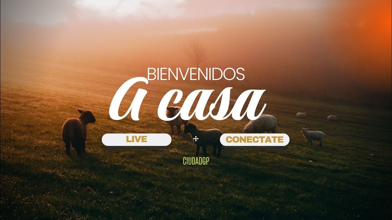 VIERNES DE PODER | Pastor Y Profeta Moisés Bell | EN VIVO