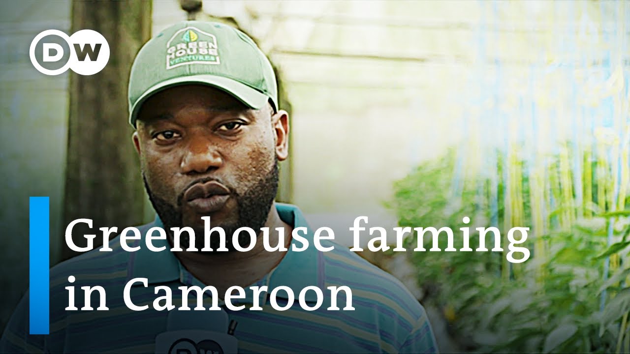 Smart agriculture in Cameroon to combat food supply issues | DW News