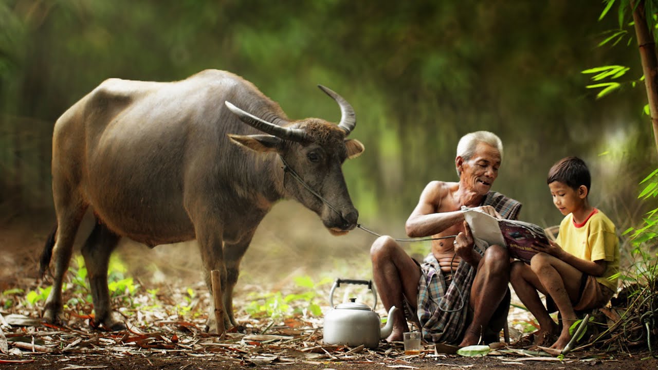 Native Khmer Flute Music - Relaxation, Healing, and Meditation with Shamanic Vibes