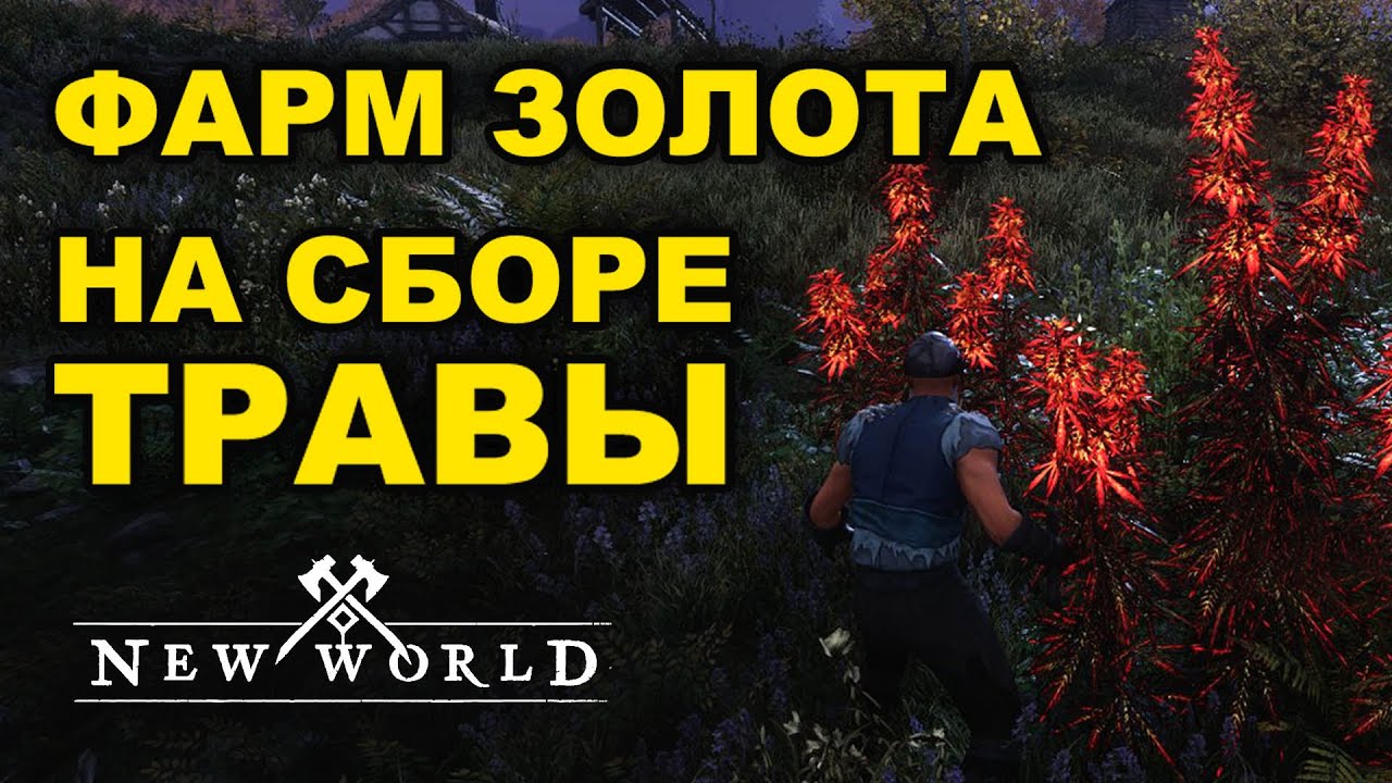 🪓  Как заработать на сборе травы в NW. Фарм золота в New World