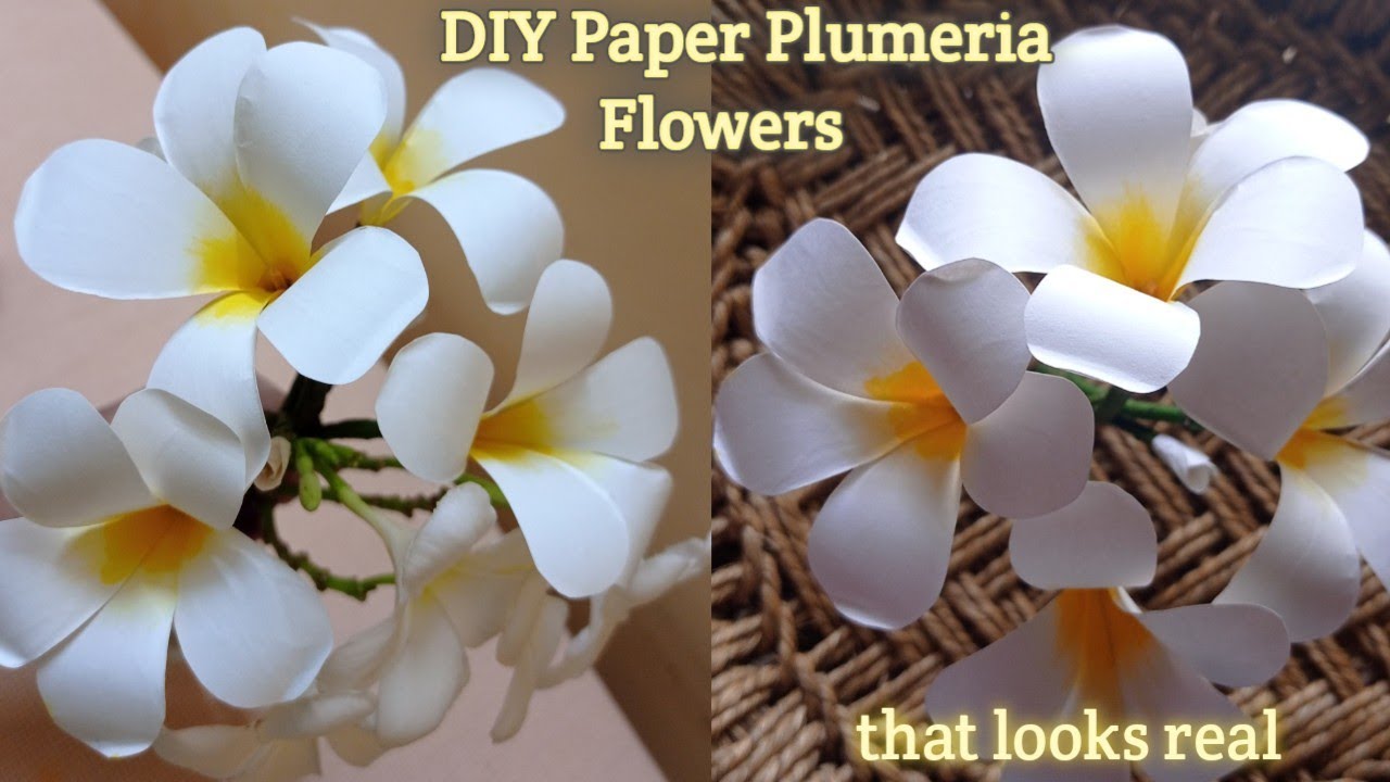 Paper Plumeria Flowers | How to make champa/chafa flowers using white paper.