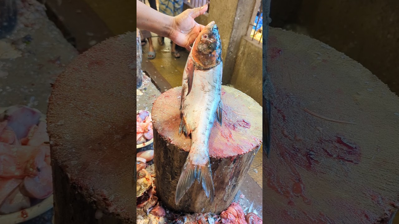 I Tried Cutting Bighead Carp Like A Pro! Fish Cutting Skills in fish Market | Fish fillets