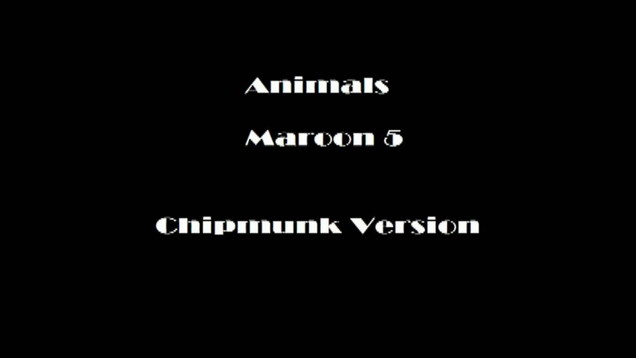 Animals - Maroon 5 (Chipmunk Version)