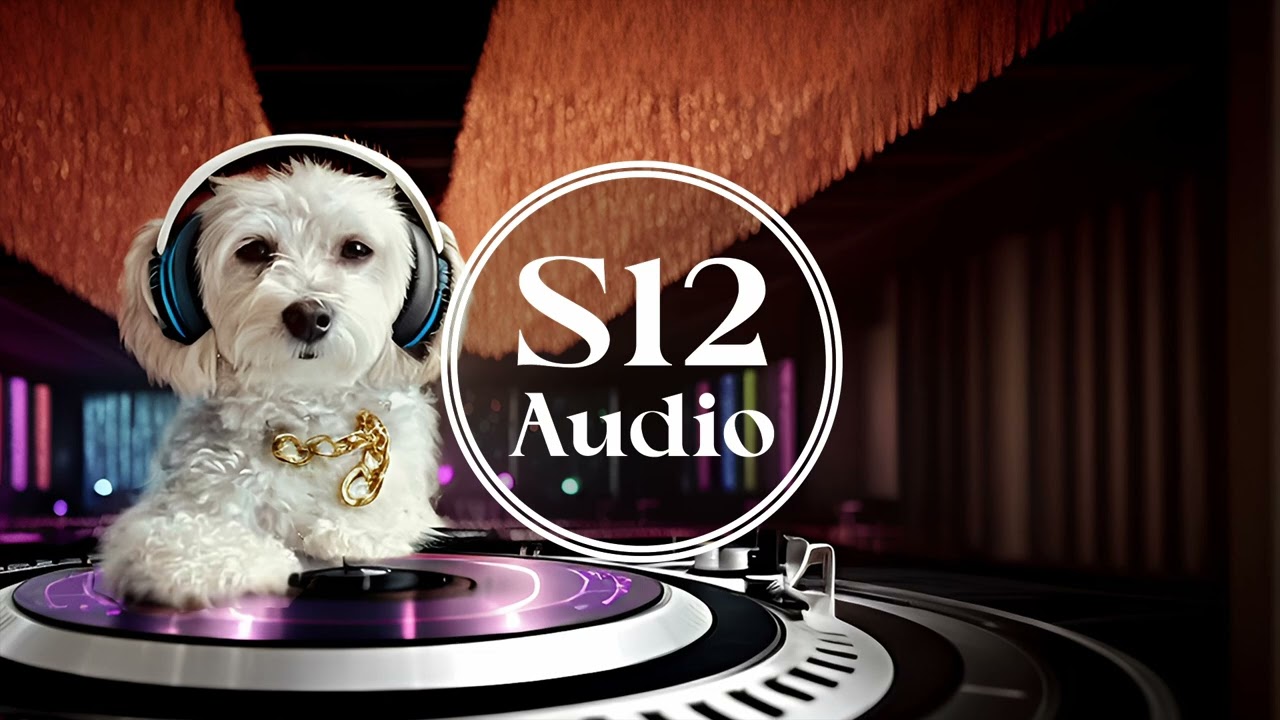 DJ Strong & Ensemble - Still in Love with You (Milo'D Remix)  [S12 Audio]