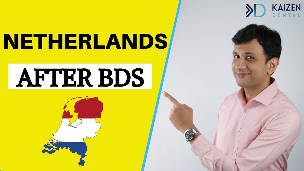 Нидерланды после BDS | Полный процесс | 2024