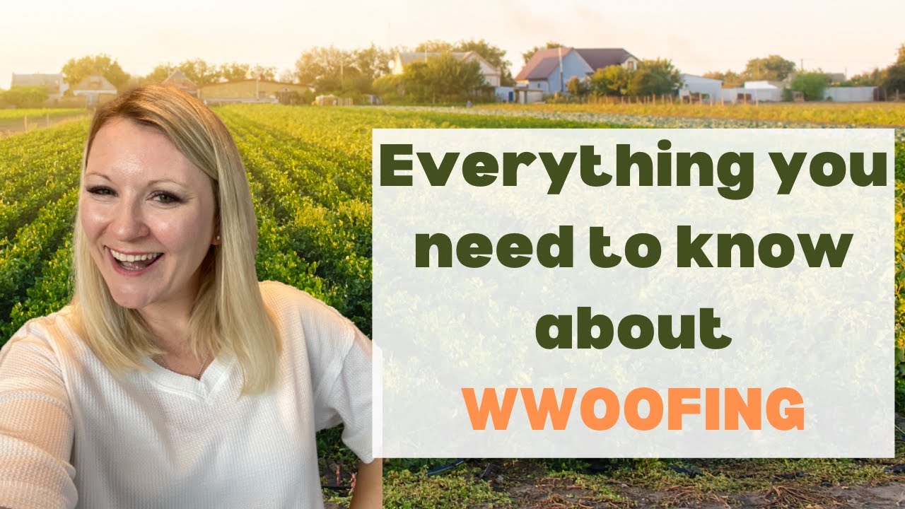 Как работает WWOOF, плюсы и минусы WWOOF, лучшие места для WWOOFING
