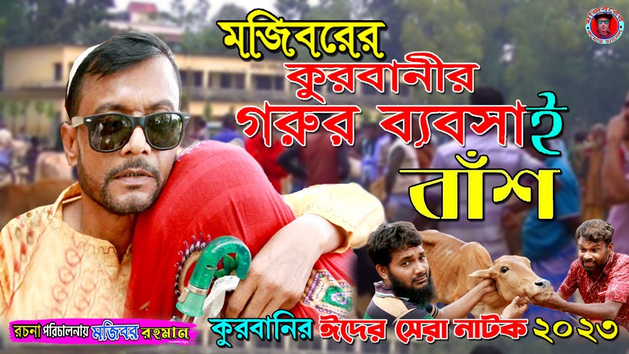 কুরবানীর গরুর ব্যবসায় বাঁশ | Bangla Funny Video | New Comedy Video 2023 | Mojiborer Comedy Channel