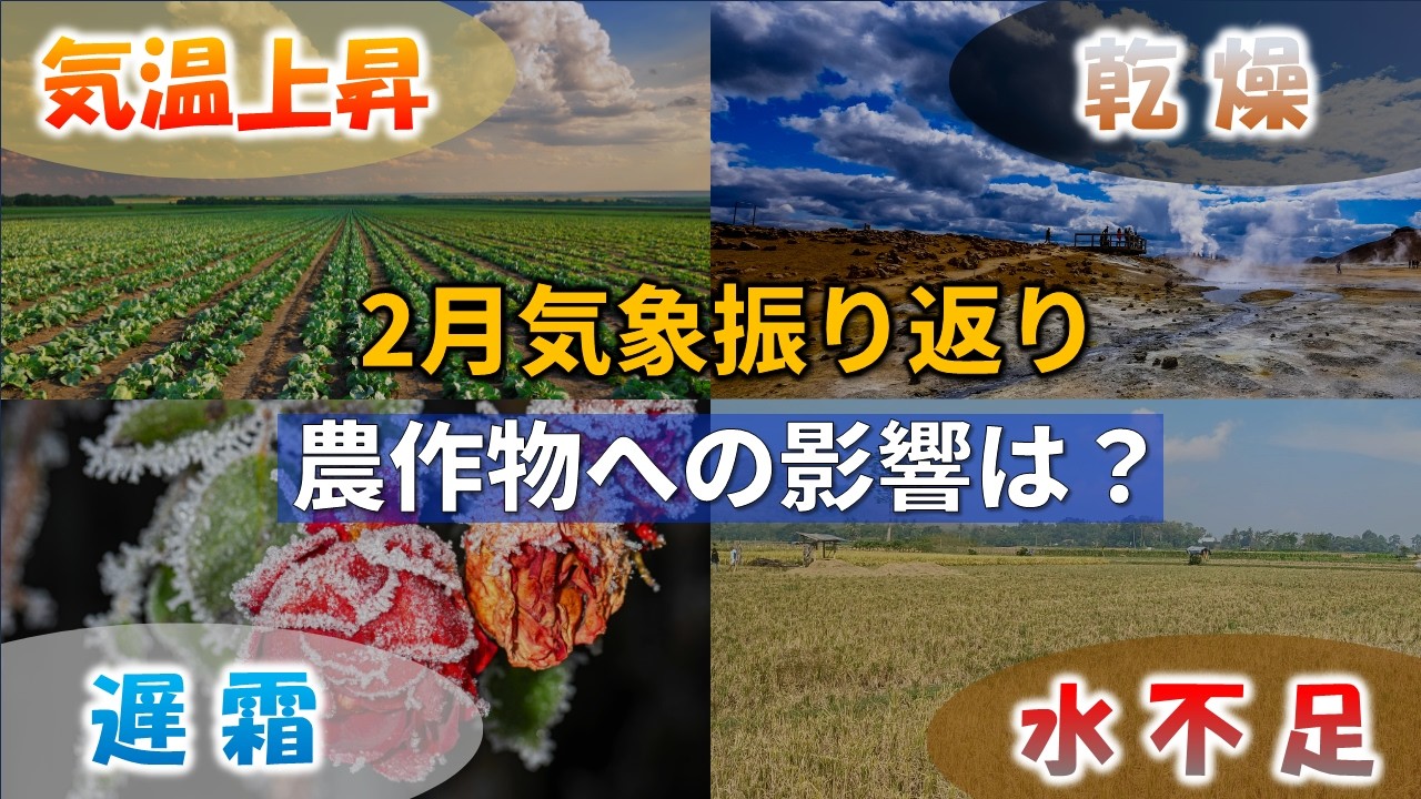 【2月】どんな天気だった？今後の農作物への影響は？