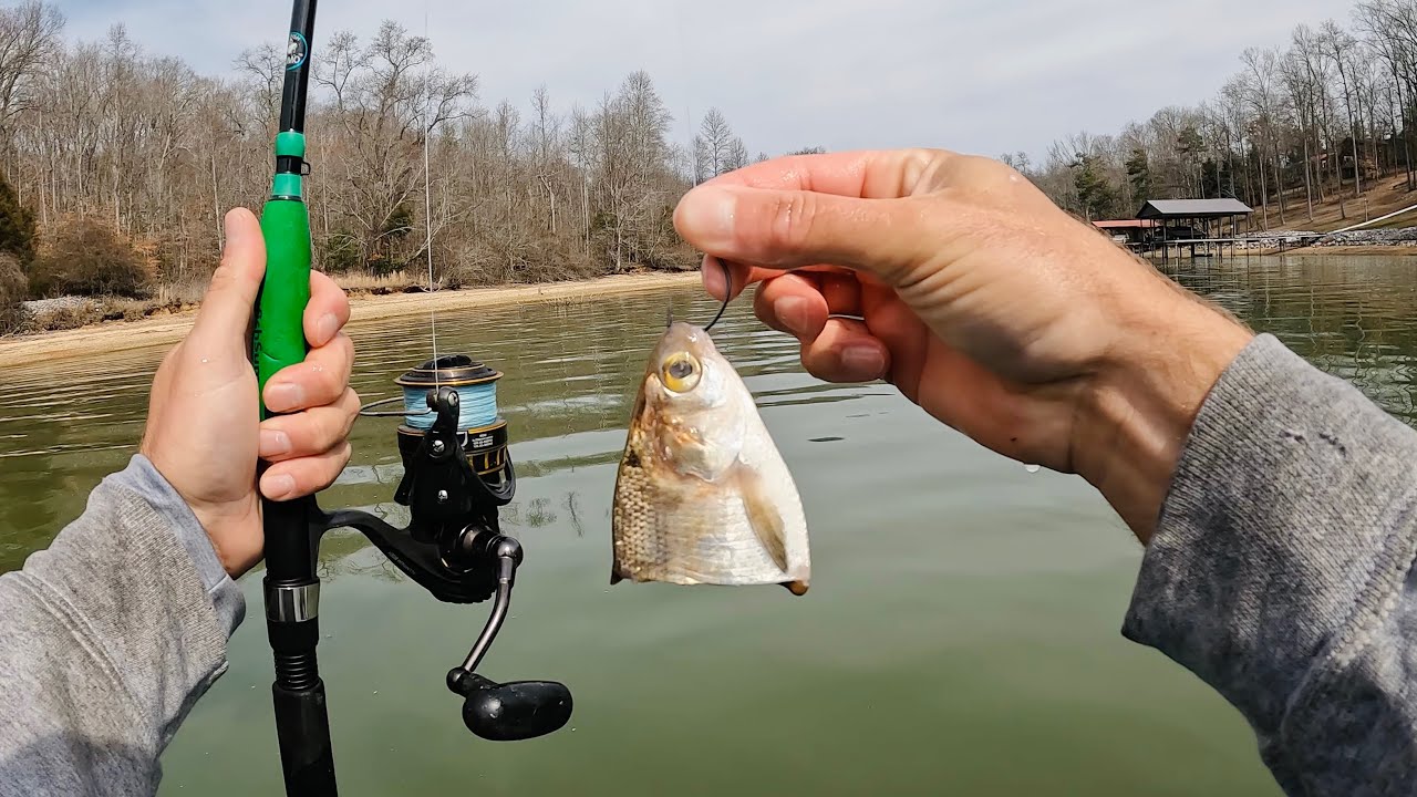 Shallow Water Drift Fishing for River Monsters 