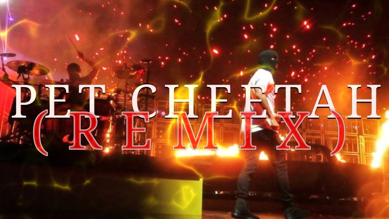 Pet Cheetah (Remix) - Twenty One Pilots