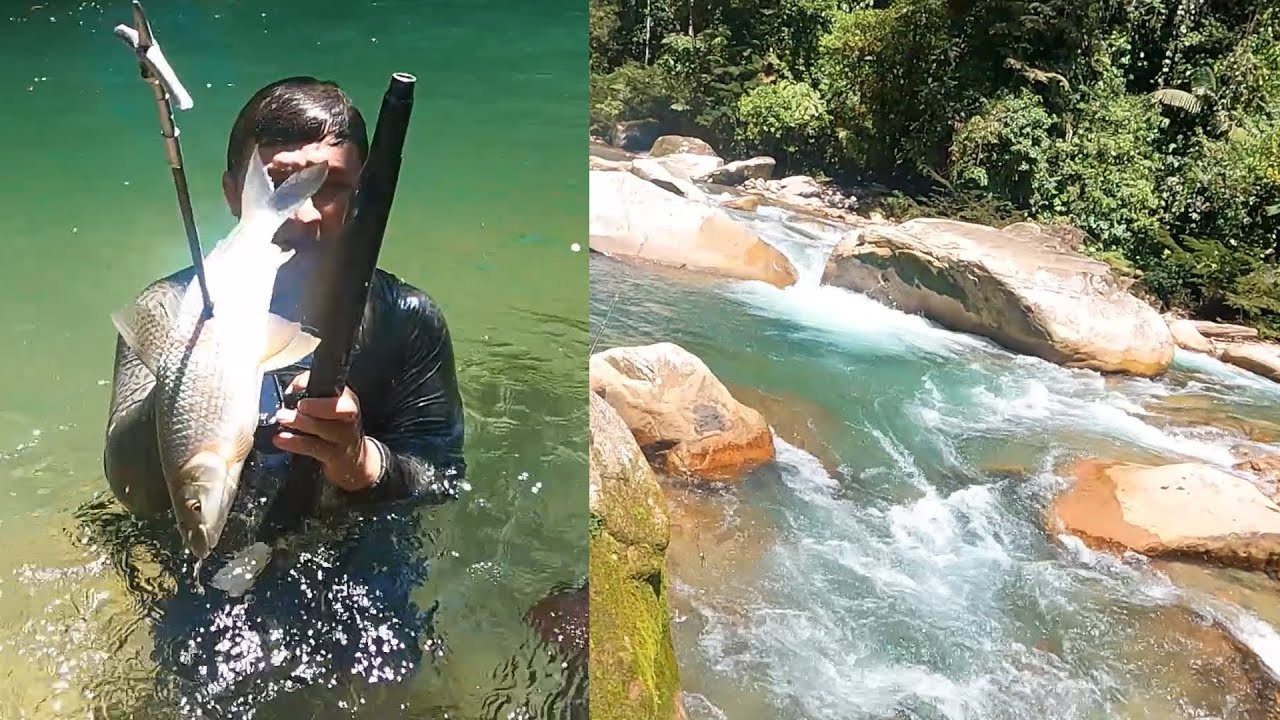 Pesca en el Putumayo con Arpón Parte 1 : El agua mas cristalina en la que hemos pescado.