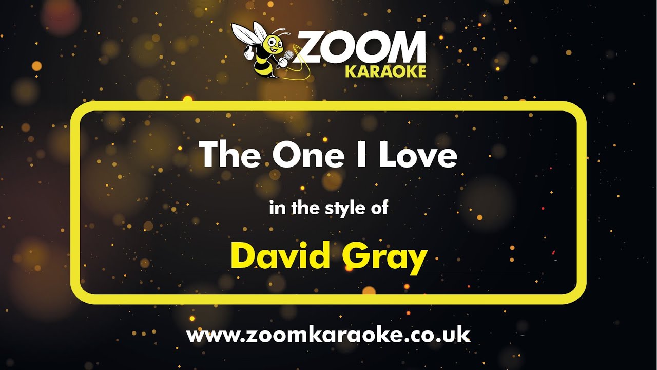 David Gray - The One I Love - Karaoke Version from Zoom Karaoke
