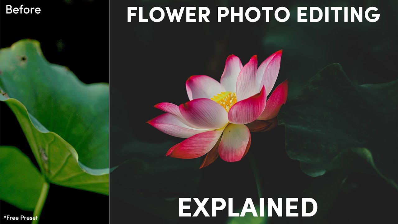 Учебник по Photoshop: ОБЪЯСНЕНИЕ РЕДАКТИРОВАНИЯ ФОТОГРАФИЙ ЦВЕТОВ — Бесплатный набор настроек