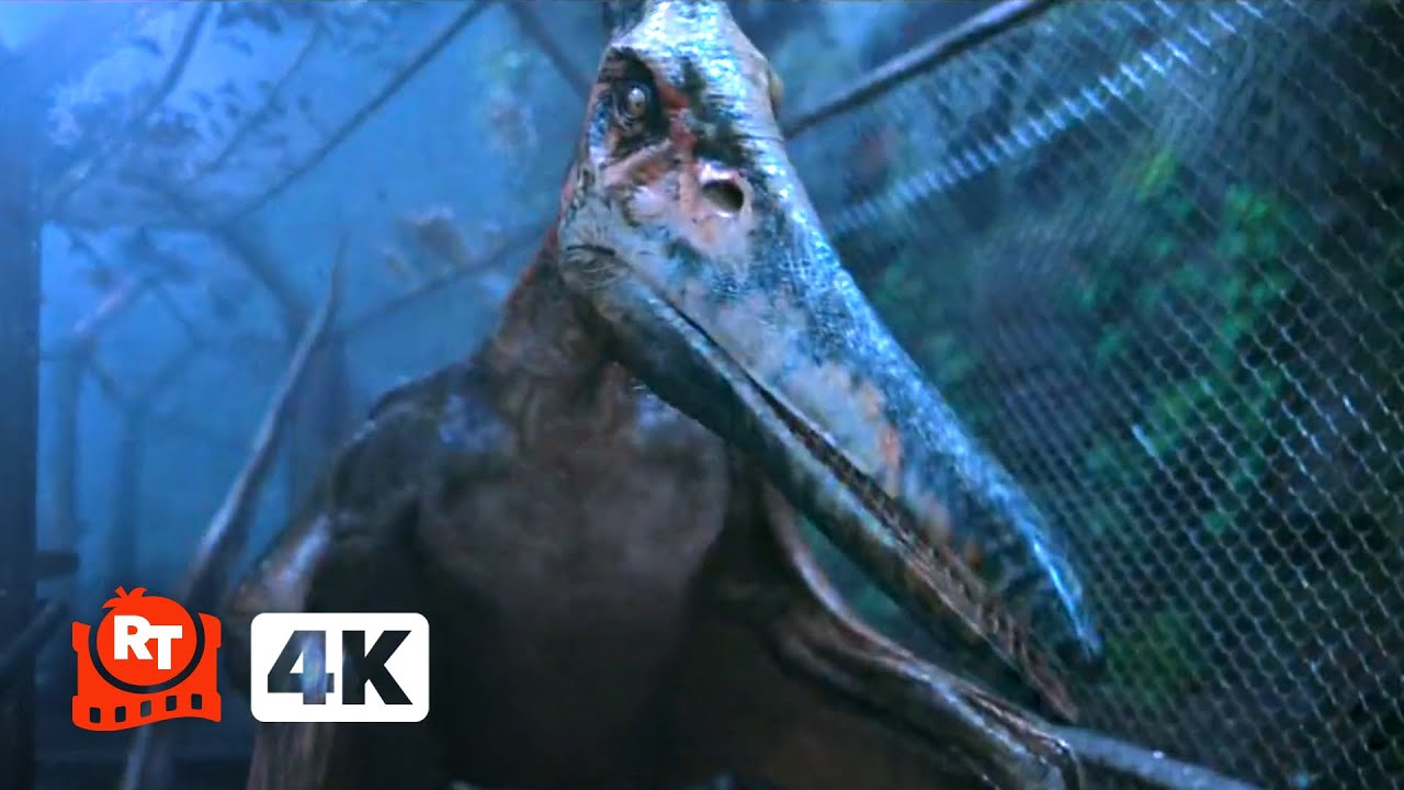 Jurassic Park III (2001) 4K - The Pterodon Cage | Movieclips