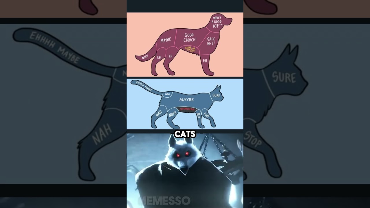Cats vs Dogs
