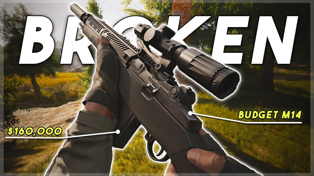 The BEST BUDGET Gun in Arena Breakout Infinite (M14)