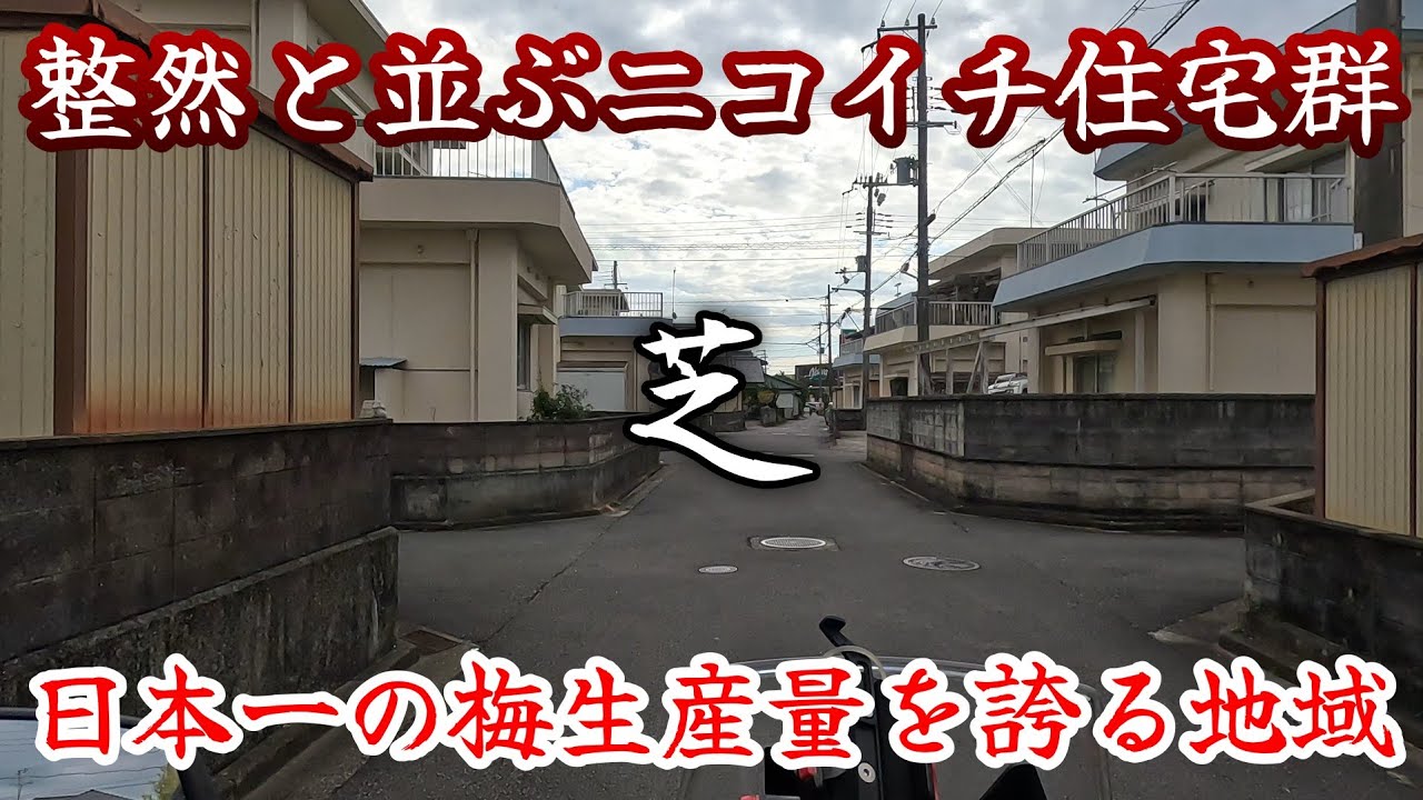 【芝】共産党のポスターが目に付く、梅の生産量が日本一を誇る町。A town where you can see many Communist Party posters.