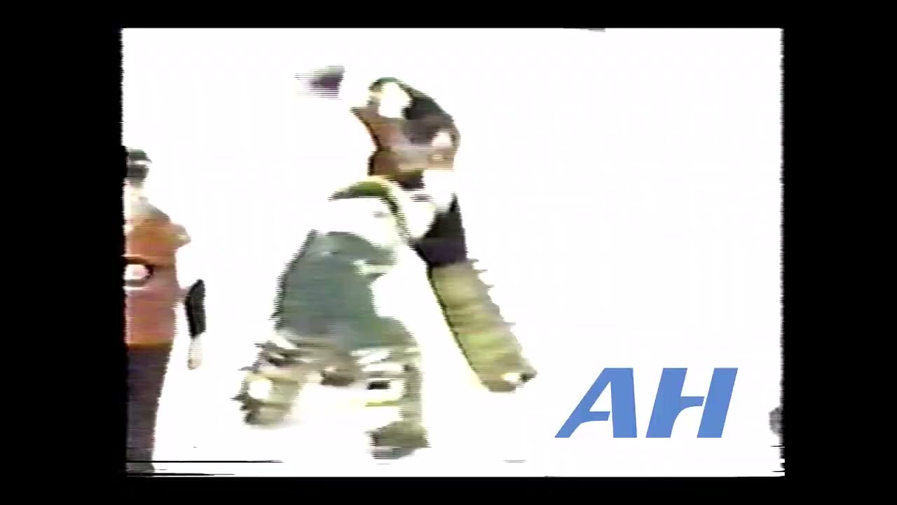 NHL Nov. 28, 1981 Minnesota North Stars v Philadelphia Flyers Bench Clearing Brawl Live + (HL)