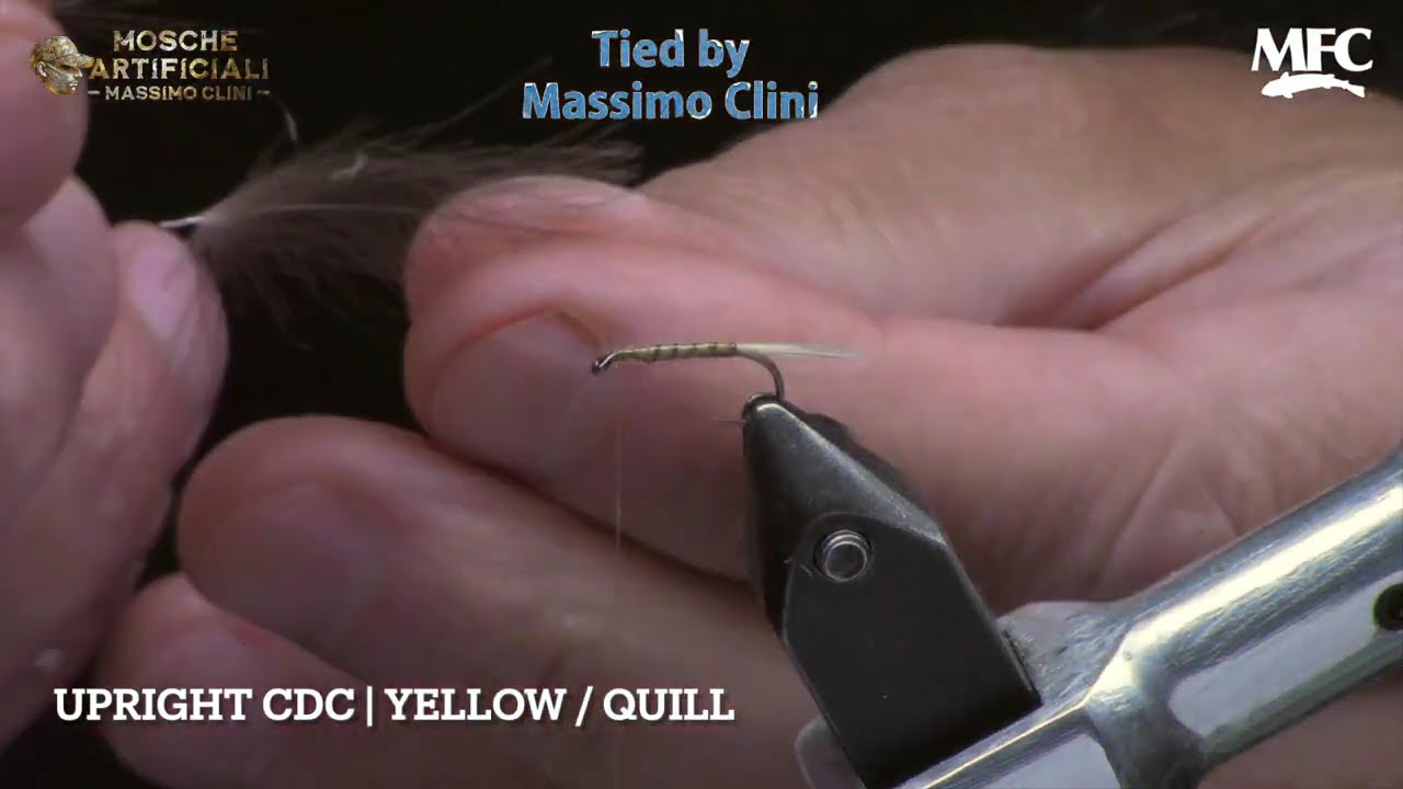 Costruzione Upright CDC Yellow Quill | L'Effimera Perfetta in Due Fasi