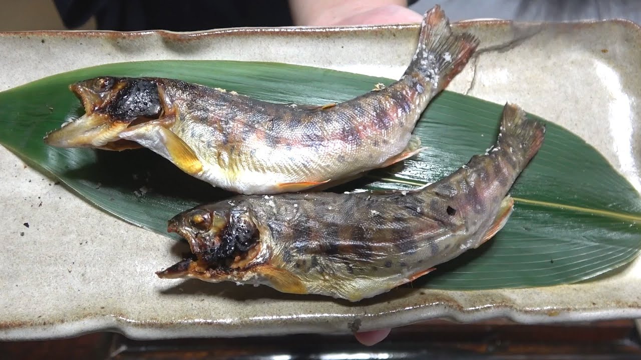 ヤマメ、鮎-Yamame trout & Ayu Fish-Japanese food【江戸長火鉢　137杯目】