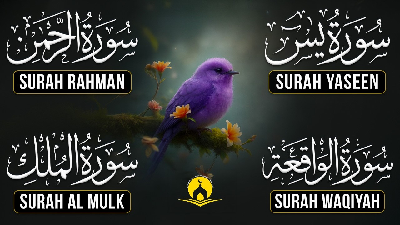 Very Nice Voice Surah Yaseen | Surah Rahman | Surah Waqiah | Surah Mulk l Reciter Ashraf Hussain 130