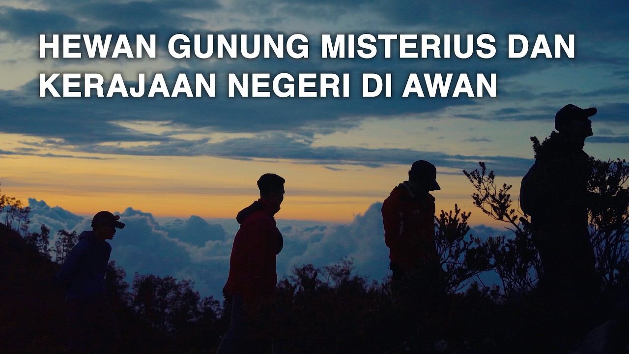 GUNUNG ARGOPURO - Hewan-hewan Misterius dan Kerajaan Negeri di Awan / part #2 Jawa Timur