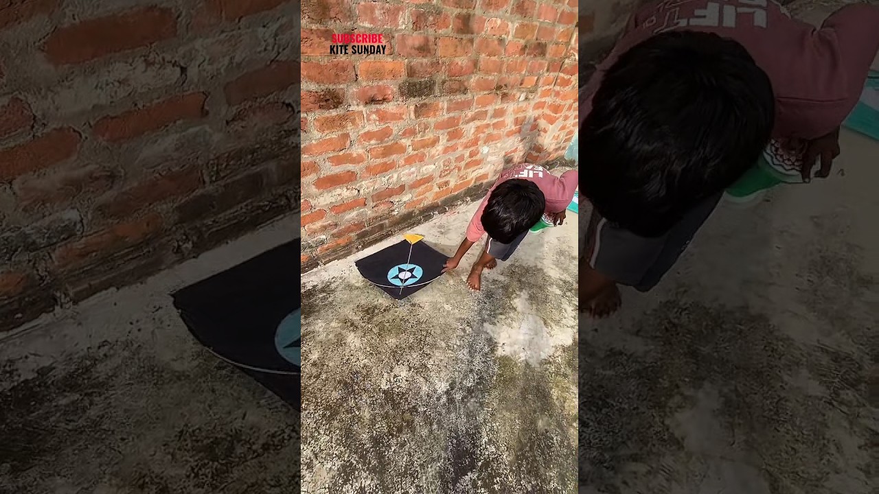 Patang Loot li 🤯 #youtubeshorts #kite #patang #viralvideos