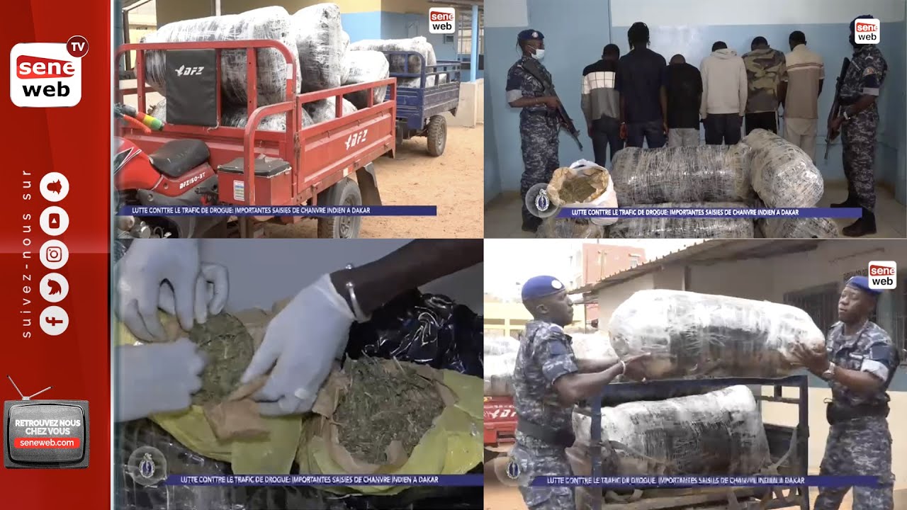 Trafic de drogue   La Gendarmerie saisit 860 kg de chanvre indien entre Thiès et Dakar
