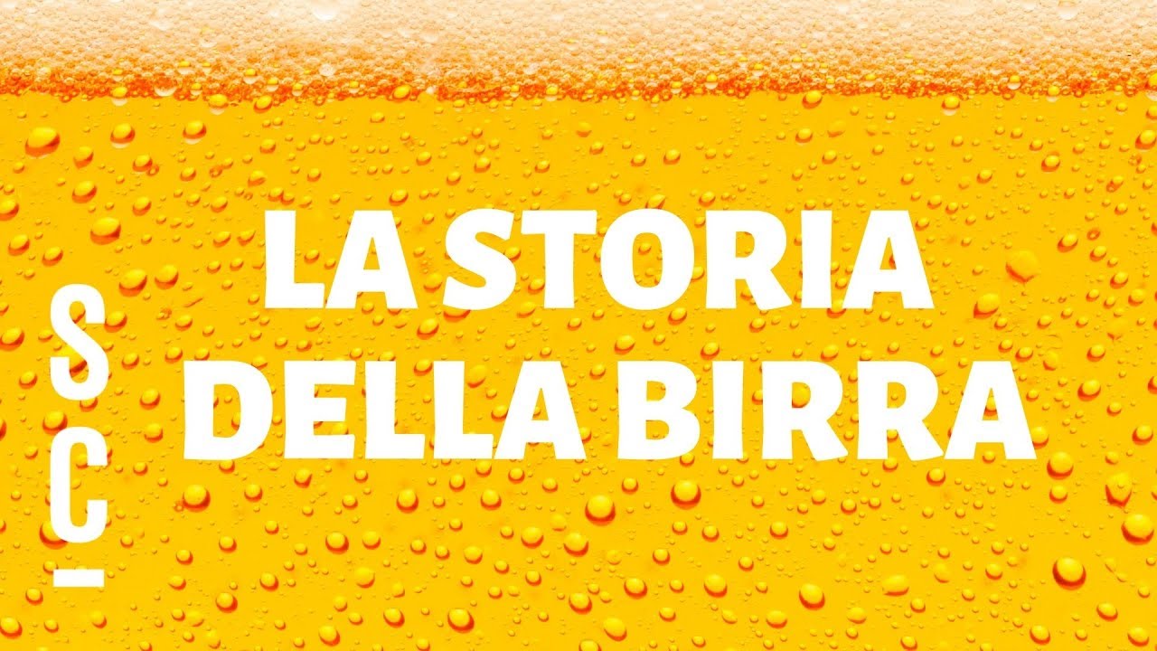 Capitolo 1: la storia della birra 🍺