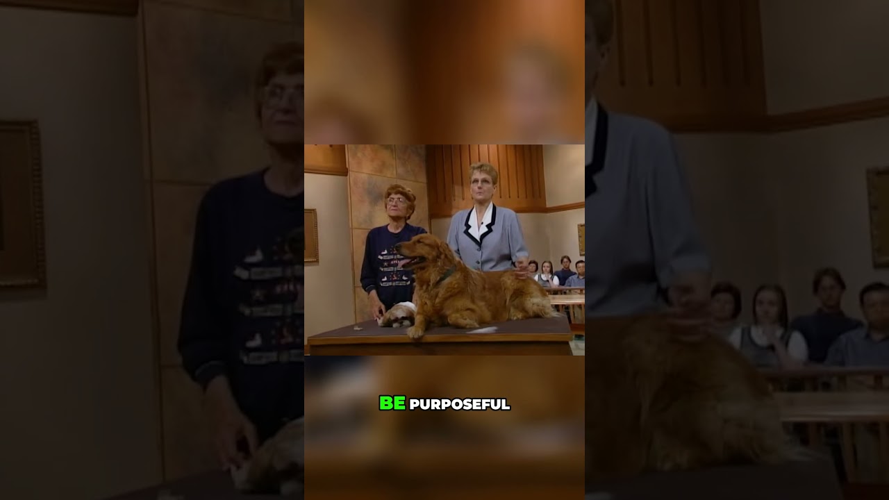 Courtroom Drama  Did This Owner BLIND Her Dog