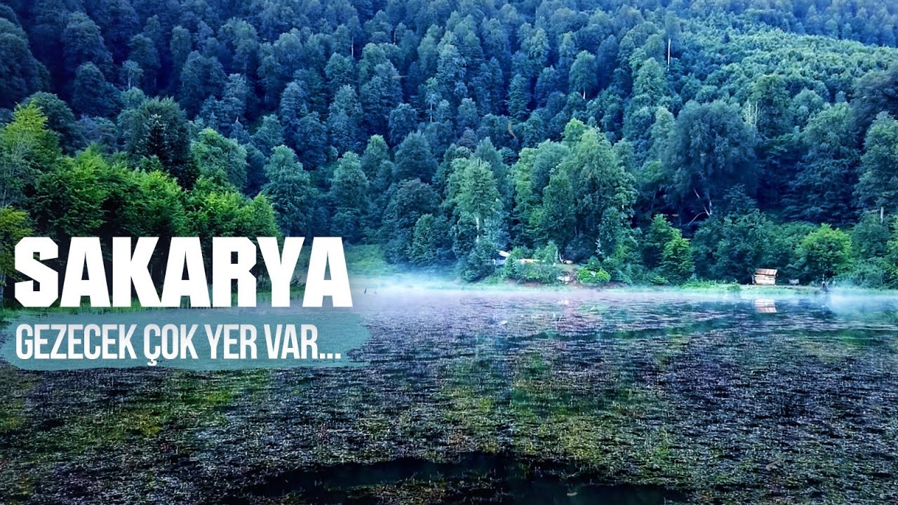 Sakarya Belgeseli / 2020