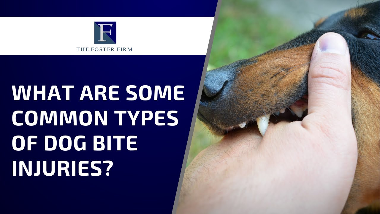 What Are Some Common Types of Dog Bite Injuries?