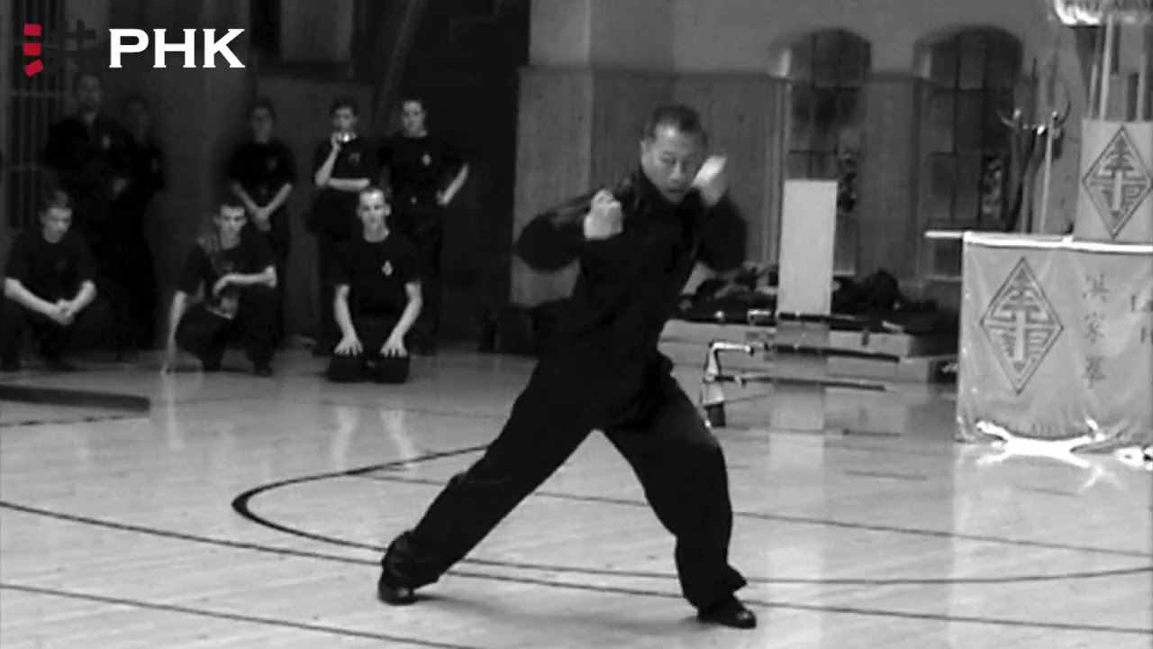 Grand Master Lam Chun Fai: "Ten Forms" & "Tiger and Crane Double Form Set"