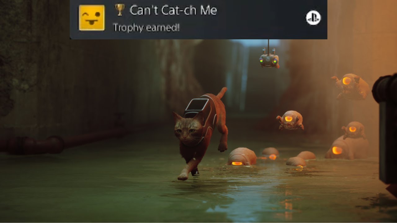 Stray  - Can't Cat-ch Me Trophy