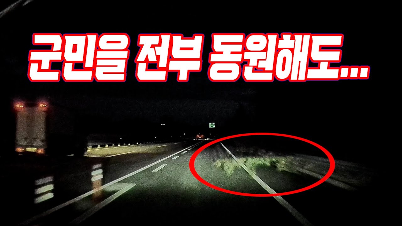 26444회. 자연적으로 쓰러져 있던 나무를 들이받은 블박차! 보상은 어디에서?
